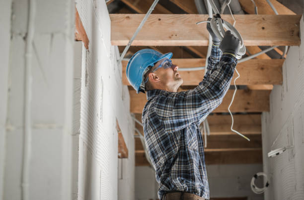 Best Electric Panel Repair  in Essex, IL